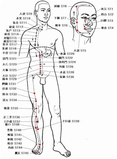 門梁|経絡～足の陽明胃経・翁鍼灸治療院